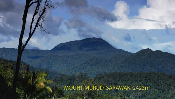 Mount Murud, Sarawak
